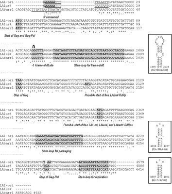 Genome Organization of a New Double-Stranded RNA LA Helper Virus From Wine Torulaspora delbrueckii Killer Yeast as Compared With Its Saccharomyces Counterparts